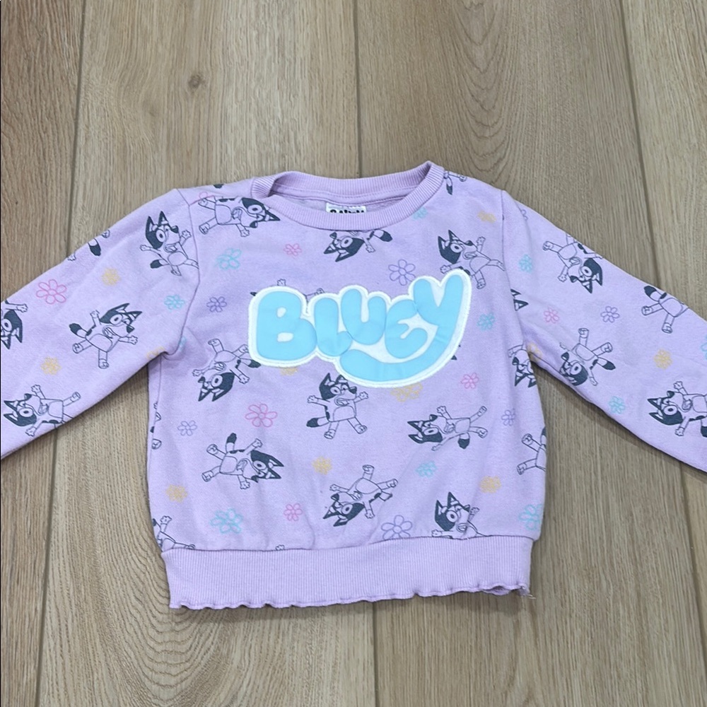 Kids' Bluey Purple Sweatshirt